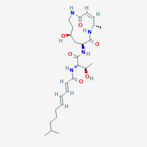 molecular formula C26H42N4O6 B156983 Cepafungin III CAS No. 130743-09-8