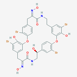 molecular formula C34H28Br4N4O9 B157169 巴斯塔丁 10 CAS No. 127687-08-5