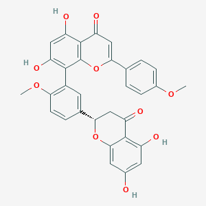 molecular formula C32H24O10 B157436 2,3-二氢异银杏叶素 CAS No. 828923-27-9