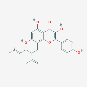 molecular formula C25H26O6 B157502 8-Lavandulylkaempferol 