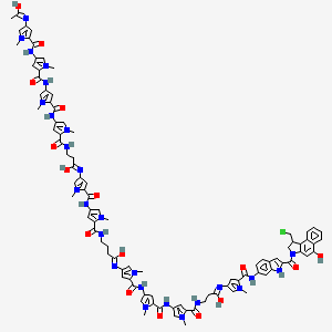  B1576270 N-[5-[[5-[[5-[[3-[5-[[2-[1-(chloromethyl)-5-hydroxy-1,2-dihydrobenzo[e]indole-3-carbonyl]-1H-indol-6-yl]carbamoyl]-1-methylpyrrol-3-yl]imino-3-hydroxypropyl]carbamoyl]-1-methylpyrrol-3-yl]carbamoyl]-1-methylpyrrol-3-yl]carbamoyl]-1-methylpyrrol-3-yl]-4-[[4-[[4-[[1-hydroxy-3-[[4-[[4-[[4-[[4-(1-hydroxyethylideneamino)-1-methylpyrrole-2-carbonyl]amino]-1-methylpyrrole-2-carbonyl]amino]-1-methylpyrrole-2-carbonyl]amino]-1-methylpyrrole-2-carbonyl]amino]propylidene]amino]-1-methylpyrrole-2-carbonyl]amino]-1-methylpyrrole-2-carbonyl]amino]butanimidic acid 