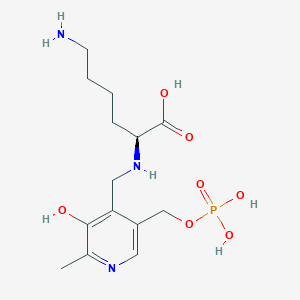  B1577071 N(2)-(5'-phosphopyridoxyl)-L-lysine 