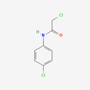 molecular formula C8H7Cl2NO B1581096 2-氯-N-(4-氯苯基)乙酰胺 CAS No. 3289-75-6