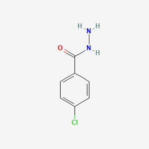 molecular formula C7H7ClN2O B1581245 4-Chlorobenzohydrazide CAS No. 536-40-3