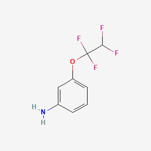 molecular formula C8H7F4NO B1581531 3-(1,1,2,2-四氟乙氧基)苯胺 CAS No. 831-75-4