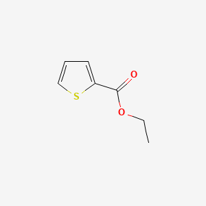 molecular formula C7H8O2S B1581557 Ethyl 2-thiophenecarboxylate CAS No. 2810-04-0