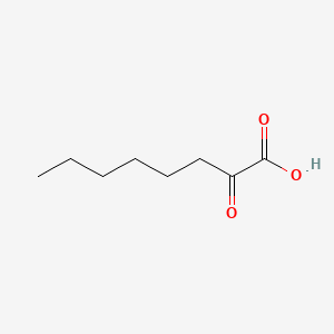 molecular formula C8H14O3 B1581882 2-Oxooctanoic acid CAS No. 328-51-8