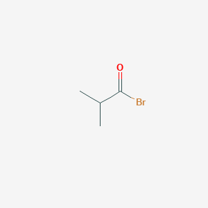 molecular formula C4H7BrO B1582170 异丁酰溴 CAS No. 2736-37-0