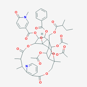 molecular formula C51H58N2O19 B158223 Hippocrateine II CAS No. 132209-62-2