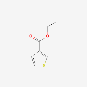 molecular formula C7H8O2S B1582522 乙基噻吩-3-羧酸乙酯 CAS No. 5751-80-4