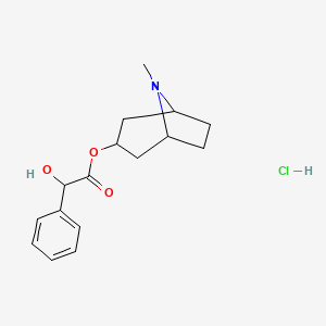 molecular formula C16H22ClNO3 B1583291 8-甲基-8-氮杂双环[3.2.1]辛烷-3-基 2-羟基-2-苯基乙酸盐盐酸盐 CAS No. 637-21-8