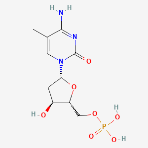 Deoxy-5-methylcytidylic acid