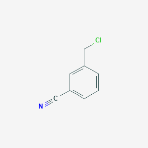 molecular formula C8H6ClN B1583590 3-(氯甲基)苯甲腈 CAS No. 64407-07-4