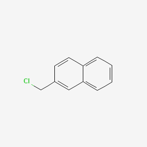 molecular formula C11H9Cl B1583795 2-(氯甲基)萘 CAS No. 2506-41-4