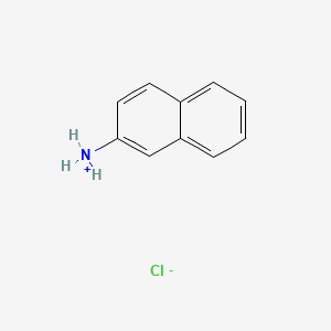molecular formula C10H10ClN B1584525 2-Naphthylammonium chloride CAS No. 612-52-2