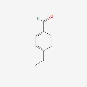 molecular formula C9H10O B1584596 4-Ethylbenzaldehyde CAS No. 4748-78-1