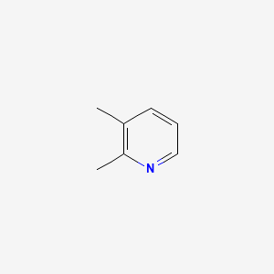 molecular formula C7H9N B1584814 2,3-Dimethylpyridine CAS No. 583-61-9
