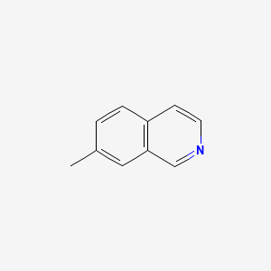 molecular formula C10H9N B1584925 7-Methylisoquinoline CAS No. 54004-38-5
