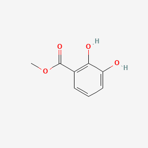 molecular formula C8H8O4 B1585551 2,3-二羟基苯甲酸甲酯 CAS No. 2411-83-8