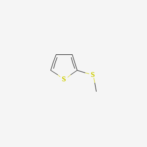 molecular formula C5H6S2 B1585591 2-(Methylthio)thiophene CAS No. 5780-36-9