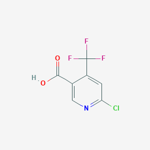 molecular formula C7H3ClF3NO2 B1585692 6-Chloro-4-(trifluoromethyl)nicotinic acid CAS No. 261635-77-2
