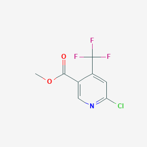 molecular formula C8H5ClF3NO2 B1586205 Methyl 6-chloro-4-(trifluoromethyl)nicotinate CAS No. 261635-79-4