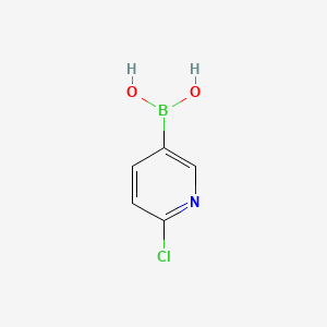 molecular formula C5H5BClNO2 B1587317 2-Chloropyridine-5-boronic acid CAS No. 444120-91-6