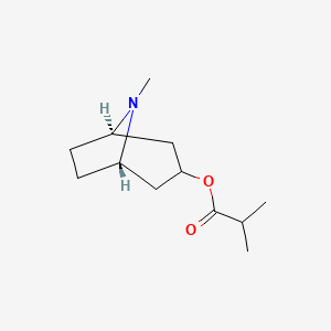 molecular formula C12H21NO2 B1587678 莨菪碱异丁酸酯 CAS No. 495-80-7