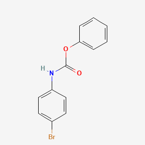 molecular formula C13H10BrNO2 B1587733 苯甲酸-N-(4-溴苯基)酯 CAS No. 50882-29-6