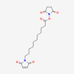 molecular formula C19H26N2O6 B1588067 Maleimide-C10-NHS ester CAS No. 87981-04-2