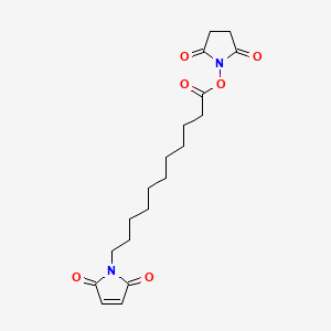 molecular formula C19H26N2O6 B1588067 N-(11-马来酰亚胺十一烷酰氧基)琥珀酰亚胺 CAS No. 87981-04-2