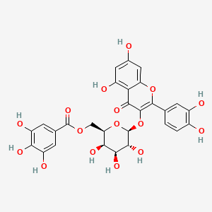 molecular formula C28H24O16 B1588129 Quercetin 3-O-(6''-galloyl)-beta-D-galactopyranoside CAS No. 53171-28-1
