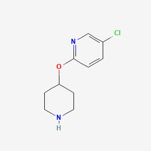 molecular formula C10H13ClN2O B1589515 5-Chloro-2-(piperidin-4-yloxy)pyridine CAS No. 260441-44-9