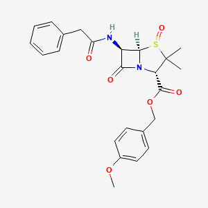 molecular formula C24H26N2O6S B1589965 Penicillin-G 4-methoxybenzyl ester sulfoxide CAS No. 53956-74-4