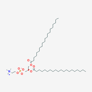 1,2-Diarachidoyl-sn-glycero-3-phosphocholine