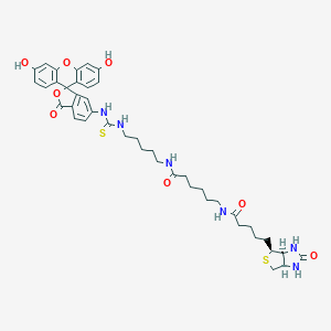 molecular formula C42H50N6O8S2 B159124 Fluorescein biotin CAS No. 134759-22-1