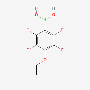 molecular formula C8H7BF4O3 B1591262 (4-乙氧基-2,3,5,6-四氟苯基)硼酸 CAS No. 871125-72-3