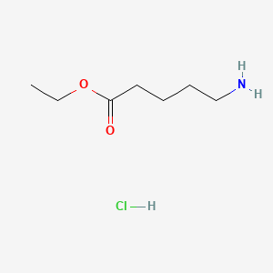 molecular formula C7H16ClNO2 B1591302 Ethyl 5-aminovalerate hydrochloride CAS No. 29840-57-1