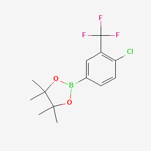 molecular formula C13H15BClF3O2 B1591390 2-(4-Chloro-3-(trifluoromethyl)phenyl)-4,4,5,5-tetramethyl-1,3,2-dioxaborolane CAS No. 445303-09-3