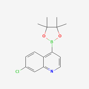 molecular formula C15H17BClNO2 B1591449 7-Chloro-4-(4,4,5,5-tetramethyl-1,3,2-dioxaborolan-2-yl)quinoline CAS No. 871125-83-6