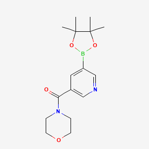 molecular formula C16H23BN2O4 B1591621 Morpholino(5-(4,4,5,5-tetramethyl-1,3,2-dioxaborolan-2-YL)pyridin-3-YL)methanone CAS No. 1073371-92-2