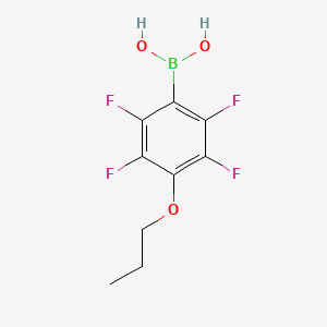 molecular formula C9H9BF4O3 B1591705 (2,3,5,6-Tetrafluoro-4-propoxyphenyl)boronic acid CAS No. 871125-71-2