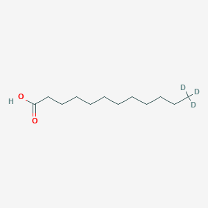 B1591742 Dodecanoic-12,12,12-D3 acid CAS No. 79050-22-9