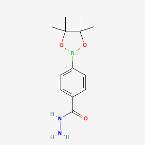 molecular formula C13H19BN2O3 B1591915 4-(4,4,5,5-Tetramethyl-1,3,2-dioxaborolan-2-yl)benzohydrazide CAS No. 276694-16-7
