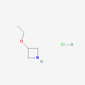 molecular formula C5H12ClNO B1592392 3-乙氧基吖啶盐酸盐 CAS No. 535924-73-3