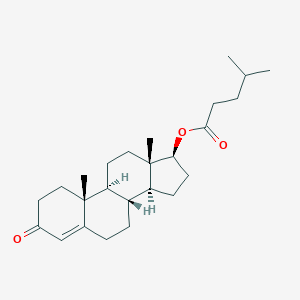 molecular formula C25H38O3 B159274 Testosterone isocaproate CAS No. 15262-86-9