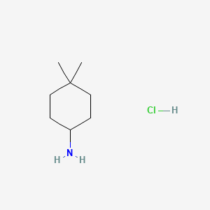 molecular formula C8H18ClN B1592865 4,4-二甲基环己胺盐酸盐 CAS No. 25834-99-5