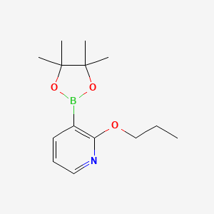 molecular formula C14H22BNO3 B1592866 2-丙氧基-3-(4,4,5,5-四甲基-1,3,2-二氧杂硼烷-2-基)吡啶 CAS No. 1073371-87-5
