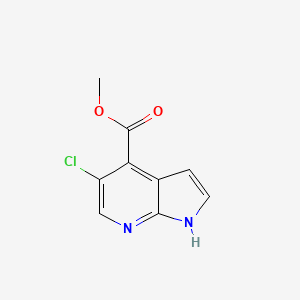 molecular formula C9H7ClN2O2 B1592977 Methyl 5-chloro-1H-pyrrolo[2,3-b]pyridine-4-carboxylate CAS No. 1015609-99-0