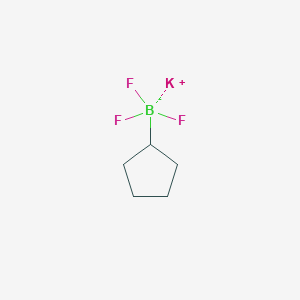 molecular formula C5H9BF3K B1592985 Potassium cyclopentyltrifluoroborate CAS No. 1040745-70-7